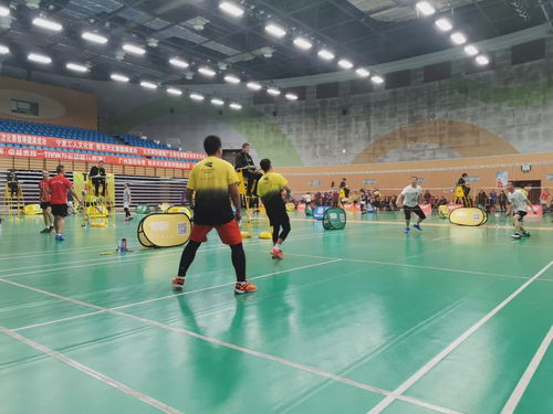 2019川崎慈善杯暨九天網羽羽毛球團體邀請賽 網絡競技與公益交融的盛會圓滿成功